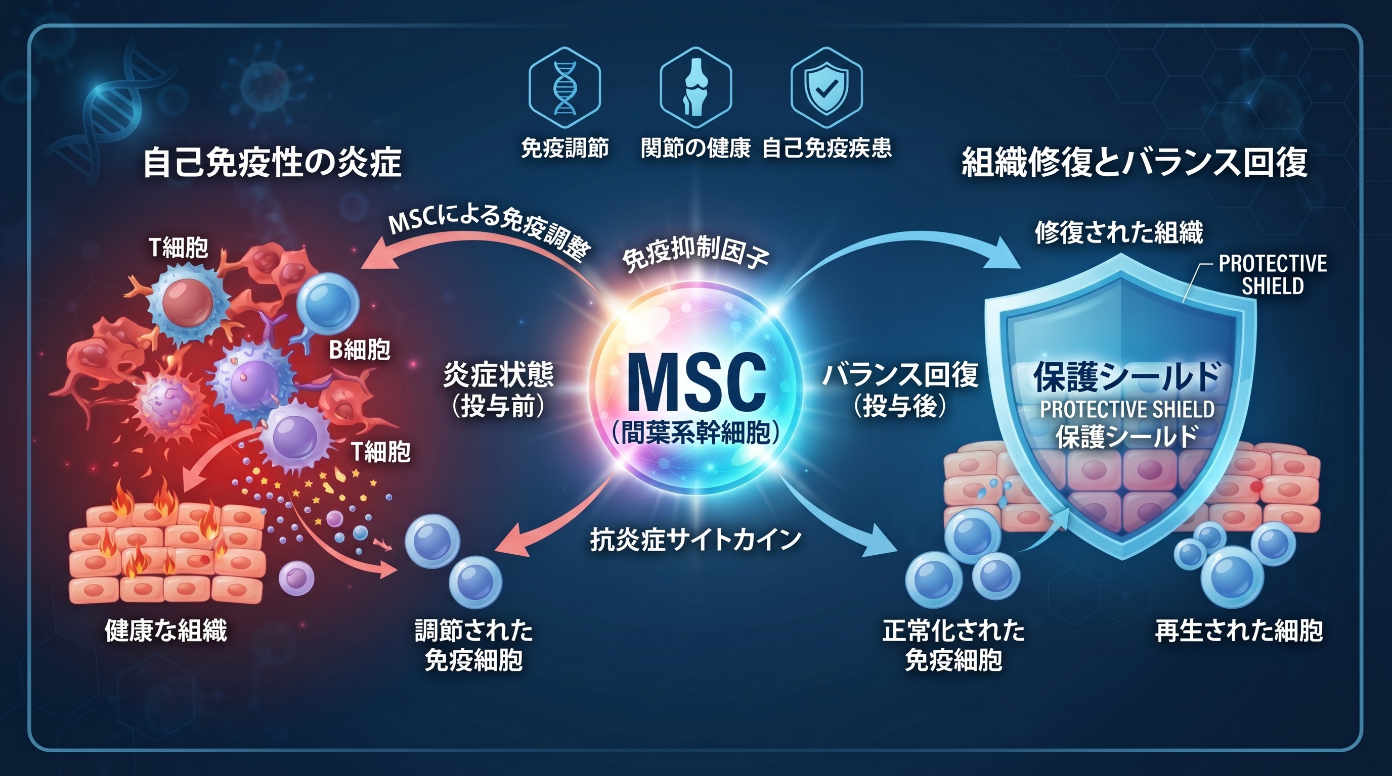 自己免疫疾患に対する間葉系幹細胞(MSC)治療のメカニズムと効果:関節リウマチ・クローン病の新たな治療戦略
